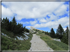 foto Dal Passo Vezzena al Pizzo di Levico